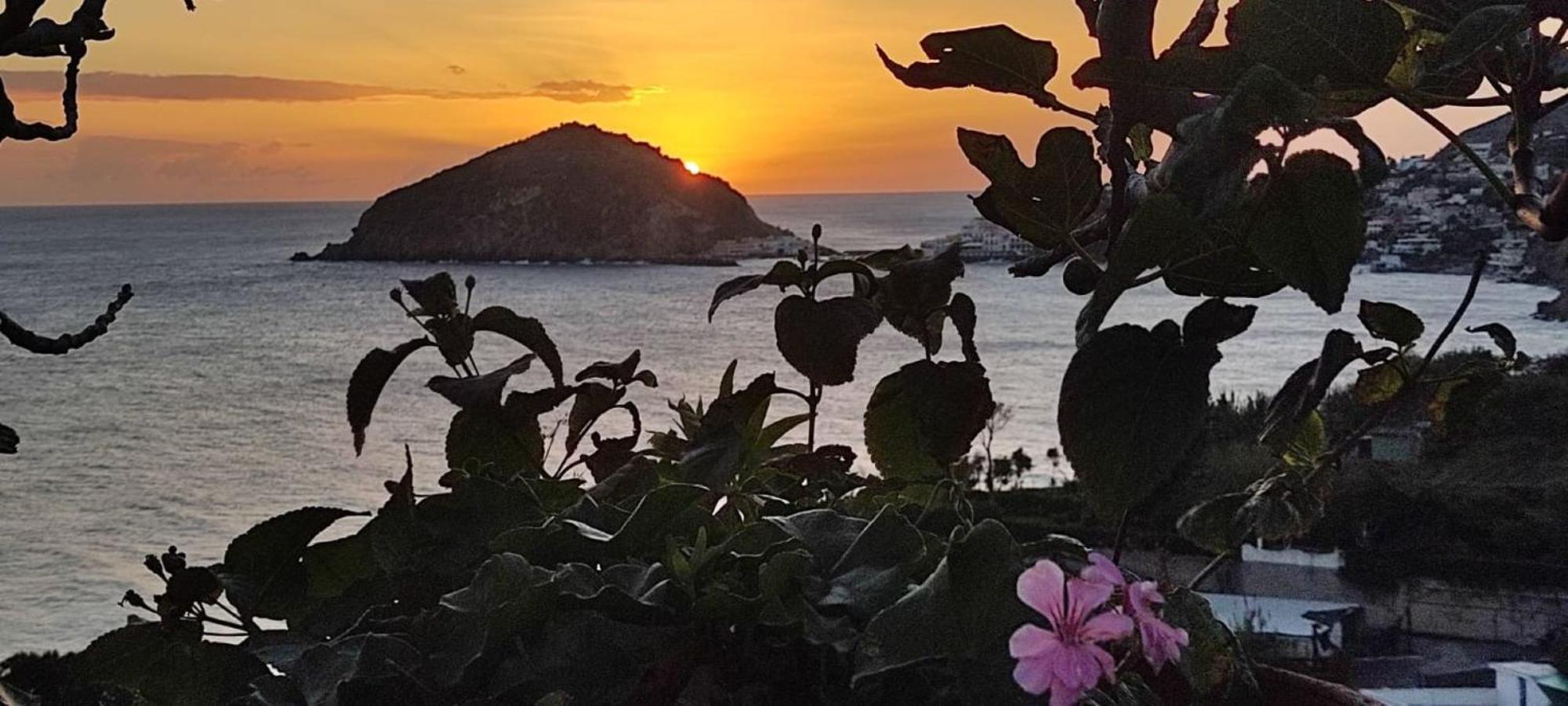 Bed and Breakfast Casa Antonio Barano d'Ischia Екстер'єр фото