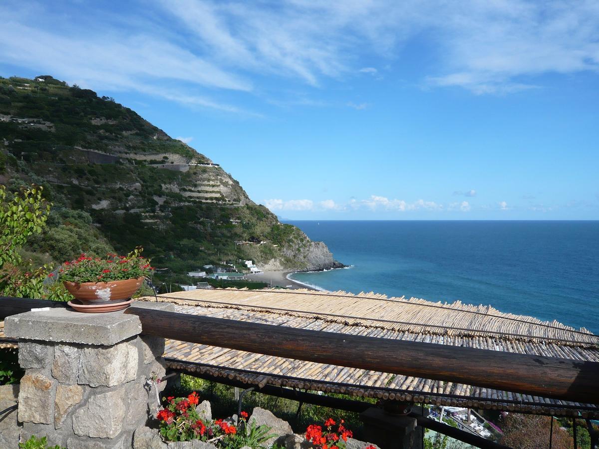 Bed and Breakfast Casa Antonio Barano d'Ischia Екстер'єр фото