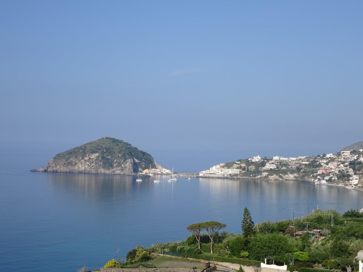 Bed and Breakfast Casa Antonio Barano d'Ischia Екстер'єр фото